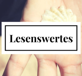 Reiseführer Vietnam